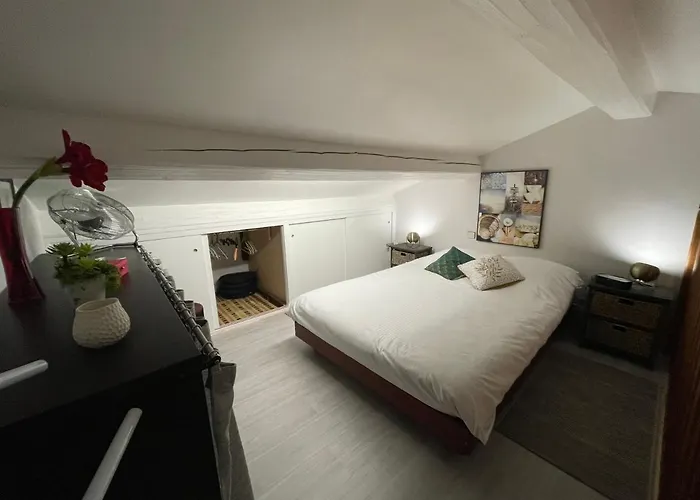 Maxime France 4 Etoiles Front De De La Nartelle 公寓 圣马克西姆