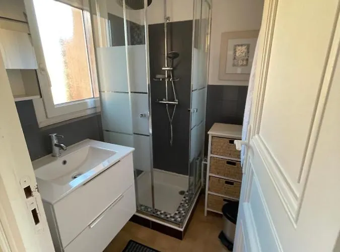 公寓 Maxime France 4 Etoiles Front De De La Nartelle 圣马克西姆