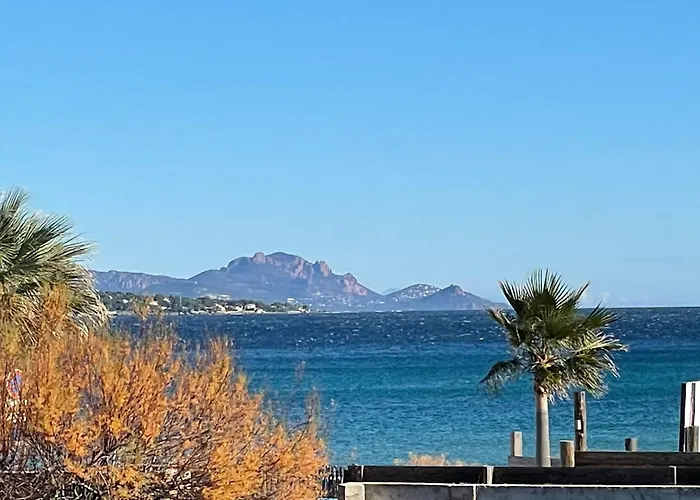 Maxime France 4 Etoiles Front De De La Nartelle *