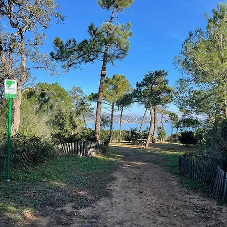 Appartamento Maxime France 4 étoiles Front De De La Nartelle