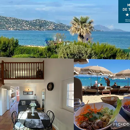 Maxime France 4 Etoiles Front De De La Nartelle Διαμέρισμα