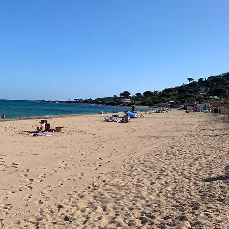 Maxime France 4 Etoiles Front De De La Nartelle Διαμέρισμα