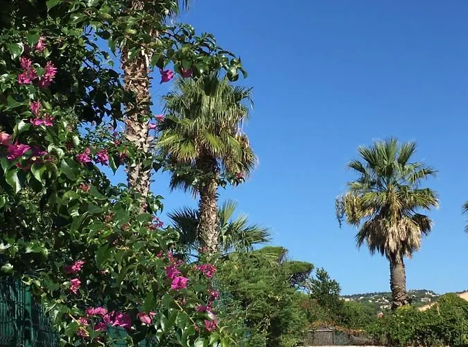 Apartamento Maxime France 4 étoiles Front De De La Nartelle Sainte-Maxime