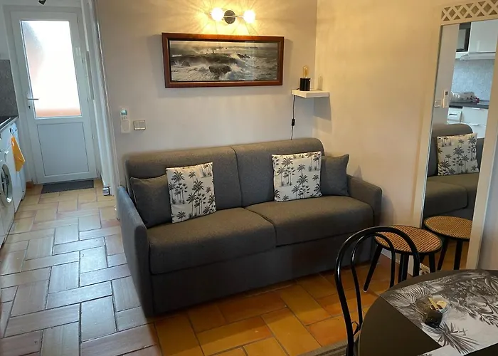 Maxime France 4 Etoiles Front De De La Nartelle Διαμέρισμα *