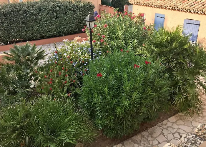 Maxime France 4 Etoiles Front De De La Nartelle Lägenhet *