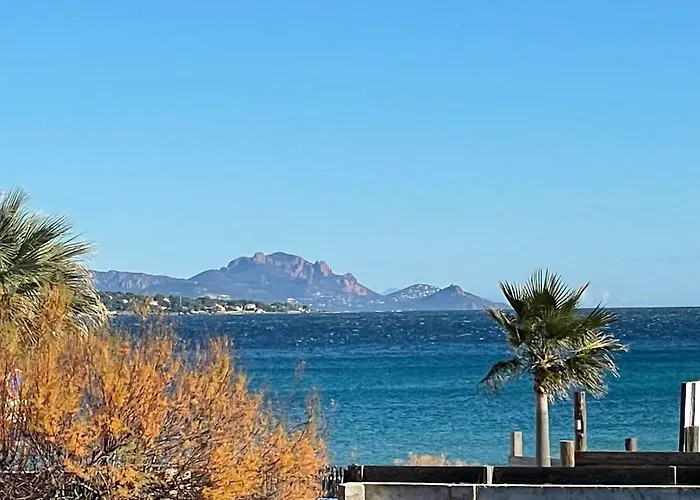 Maxime France 4 Etoiles Front De De La Nartelle Διαμέρισμα Σαιντ-Μαξίμ