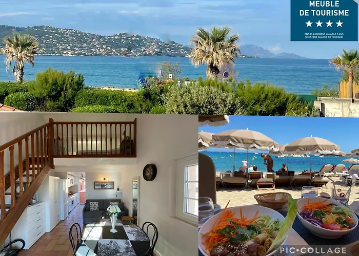 Maxime France 4 Etoiles Front De De La Nartelle Apartment